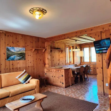 Nelida Myholidaylivigno
