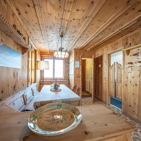 Nelida Myholidaylivigno